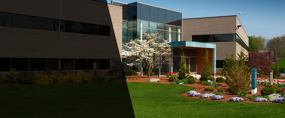 East Weymouth Landscapers