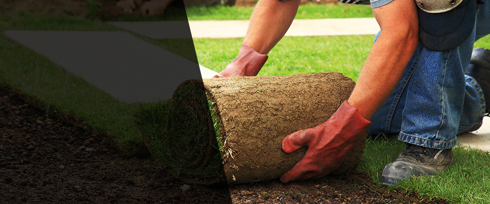 East Weymouth Landscapers